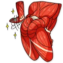 🌕-Dave the Nudist, Telegram Sticker