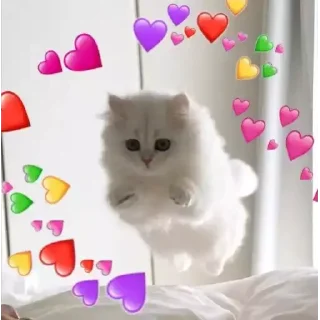 🐱-Cutie, Telegram Sticker