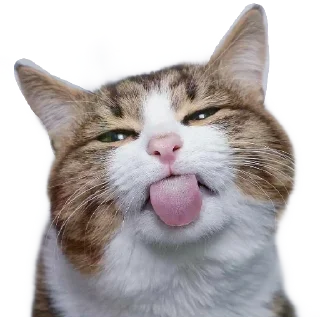 😝-Cutie, Telegram Sticker