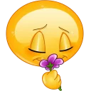 🌺-Emoji, Telegram Sticker