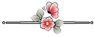 🦋-@Som_Gospel 𝚍꯭𝚘꯭𝚛𝚊꯭𝚍꯭𝚘꯭𝚛𝚎꯭𝚜꯭, Telegram Sticker