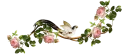 🌹-فواصل, Telegram Sticker
