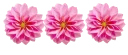 🌹-فواصل, Telegram Sticker