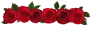 🌹-فواصل, Telegram Sticker