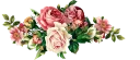 🌹-فواصل, Telegram Sticker