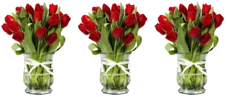 🍒-فواصل, Telegram Sticker