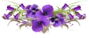🌹-فواصل, Telegram Sticker