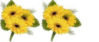 💛-فواصل, Telegram Sticker