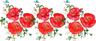 🌸-فواصل, Telegram Sticker