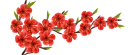 🌹-فواصل, Telegram Sticker