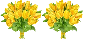 💛-فواصل, Telegram Sticker