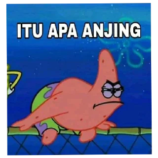 😂-PIN NIH KAK, Telegram Sticker