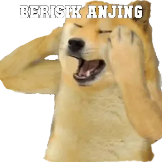 👻-PIN NIH KAK, Telegram Sticker