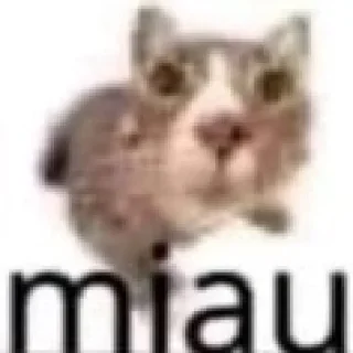 😭-@Stickermemeindonesia 27, Telegram Sticker