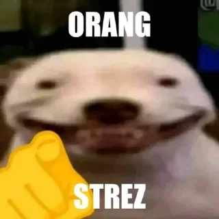 😭-@Stickermemeindonesia 27, Telegram Sticker