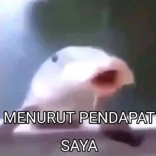 😭-@Stickermemeindonesia 27, Telegram Sticker
