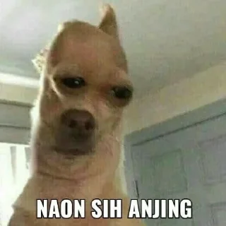 😭-@Stickermemeindonesia 27, Telegram Sticker