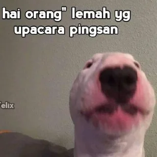 😄-@stickermemeindonesia yeaaaaaa, Telegram Sticker