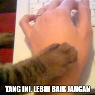 😄-@stickermemeindonesia yeaaaaaa, Telegram Sticker