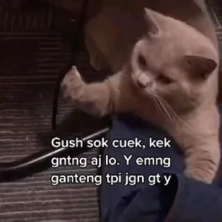 😁-aoa ajh @stiker_memee, Telegram Sticker