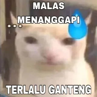 😁-aoa ajh @stiker_memee, Telegram Sticker