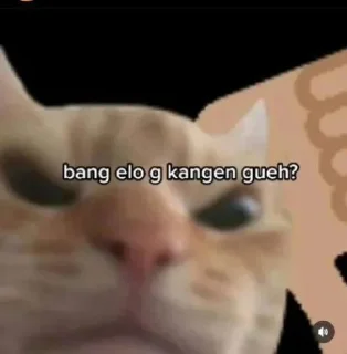 😁-aoa ajh @stiker_memee, Telegram Sticker