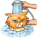 😠-Striped Cat, Telegram Sticker