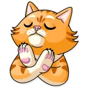 🙅‍♂️-Striped Cat, Telegram Sticker