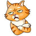 🙄-Striped Cat, Telegram Sticker