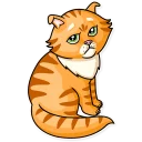 😟-Striped Cat, Telegram Sticker