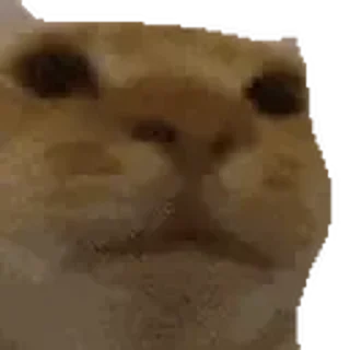 🫥-Сюдасюдасюда, Telegram Sticker