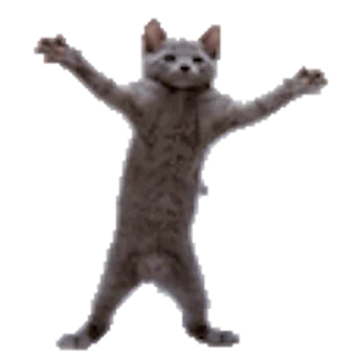 🕺-Сюдасюдасюда, Telegram Sticker
