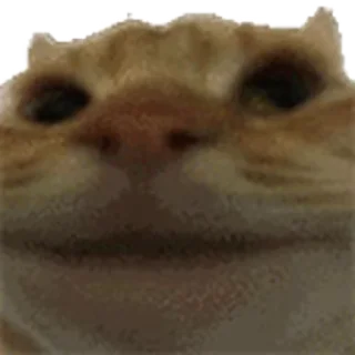 ❌-Сюдасюдасюда, Telegram Sticker