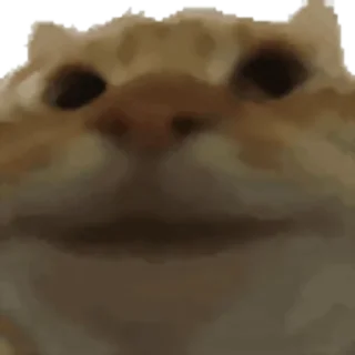 ✅-Сюдасюдасюда, Telegram Sticker