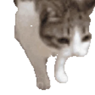 💀-Сюдасюдасюда, Telegram Sticker