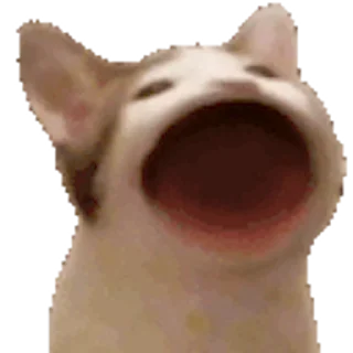 😮-Сюдасюдасюда, Telegram Sticker