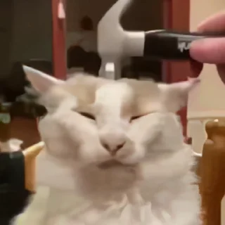 🔨-Сюдасюдасюда, Telegram Sticker