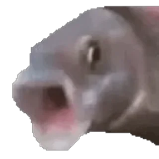 😱-Сюдасюдасюда, Telegram Sticker