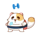 💪-Sushi Cat, Telegram Sticker