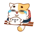 Sushi Cat
