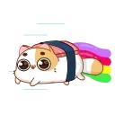 🌈-Sushi Cat, Telegram Sticker