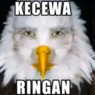 🌟-@KizennN30 Terlanjur :: @fStikBot, Telegram Sticker