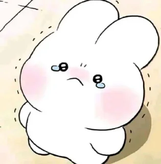 baby bunny