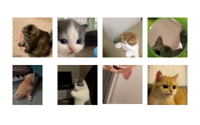 @buttorfleoge Kitties Bites