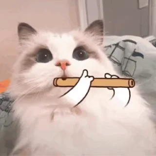 🙂-@buttorfleoge Kitties Bites, Telegram Sticker