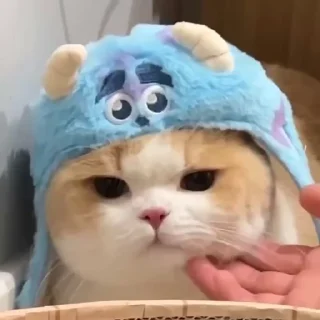 🙂-@buttorfleoge Kitties Bites, Telegram Sticker