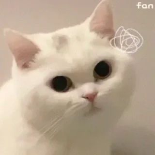 🙂-@buttorfleoge Kitties Bites, Telegram Sticker
