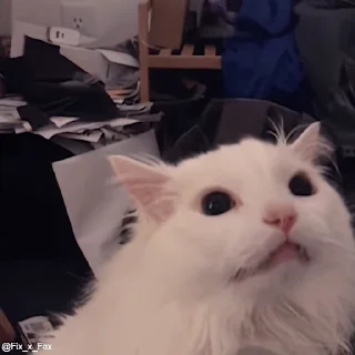 🙂-@buttorfleoge Kitties Bites, Telegram Sticker