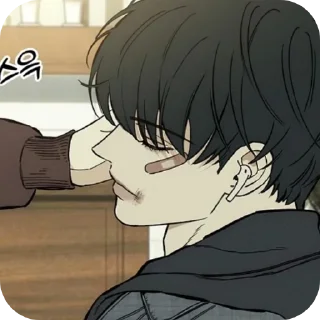 📖-Слезы на увядших цветах @Tearsonwitheredflowers, Telegram Sticker