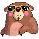 😎-Honey Bear, Telegram Sticker